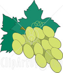a bunch of grapes