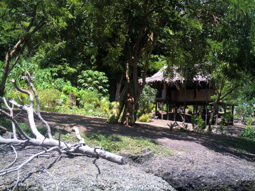 Our Hut at Paiyava, Engulfed by the trees, Goodenough Island, PNG