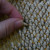 Use your finger to pluck out the seeds, or press sideways with your thumbs to force the seeds out of the flower head. Use your finger to pluck out the seeds, or press sideways with your thumbs to force the seeds out of the flower head.