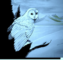 https://usercontent2.hubstatic.com/7227089_f260.jpg