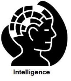 Different Types of Intelligence
