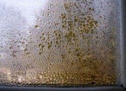 What causes condensation on windows & walls in a house