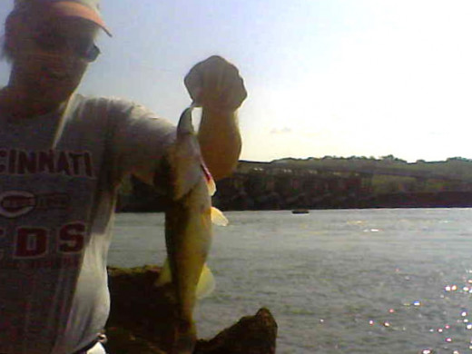 Keeper-sized largemouth bass like the bigger Rapala Shad Rap SR7