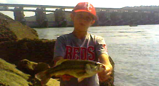 Early October Largemouth Bass are Active on the Ohio River
