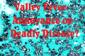 Valley Fever Symptoms and Treatment