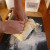 knead the dough knead the dough
