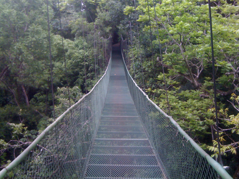 The hanging bridge going to the hot springs pool and restaurant at Vandara Hot Springs and Spa.