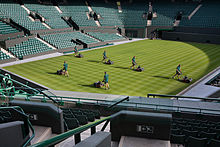 Wimbledon grass court