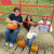 My brother and grandson holding pumpkins; my daughter and son-in-law looking on...this was the hay wagon. My brother and grandson holding pumpkins; my daughter and son-in-law looking on...this was the hay wagon.
