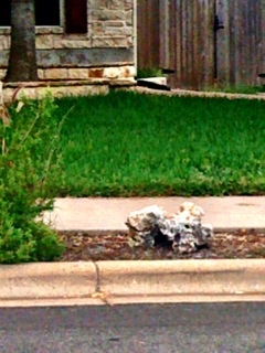 Stone and greenery at intervals