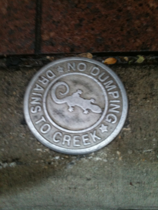 Water that runs off from pavement goes directly to creeks, streams, lakes, and eventually, the ocean.