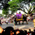 Mysore Dasara procession Mysore Dasara procession