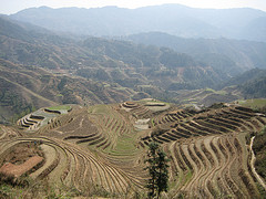 Rice Terraces  Photo by:  http://www.flickr.com/people/mckln/