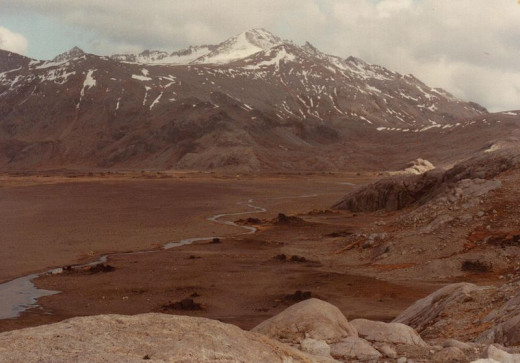 South of the ice, the landscape was dominated by barren, treeless tundra similar in appearance to the Arctic tundra of today.