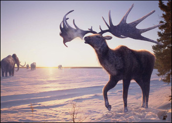 The giant deer, known as Megaloceros.