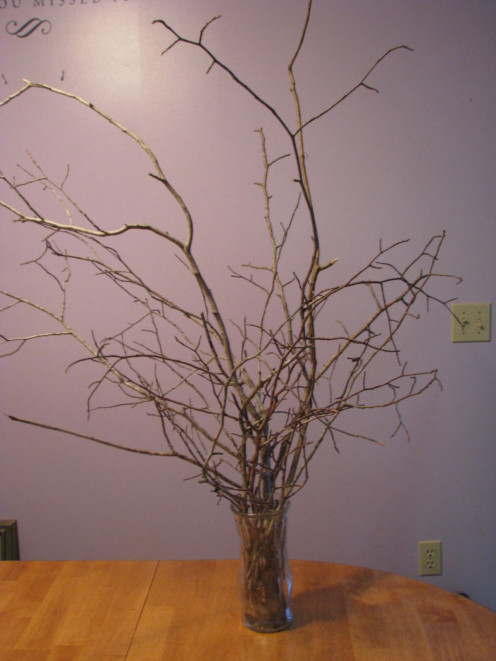 Branches arranged in a glass vase. 