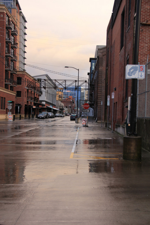 After the rain in Portland, Oregon