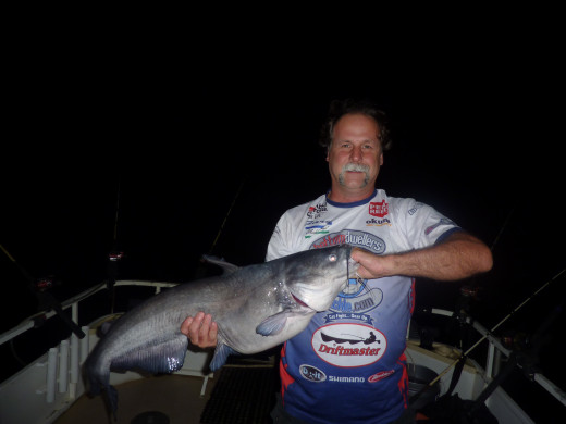 Gary Turner with a chunky  Blue Catfish from Santee Cooper