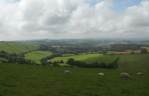 The rolling hills and vales of the Dorset countryside. Much of this farmland remains unchanged since Hardy's time