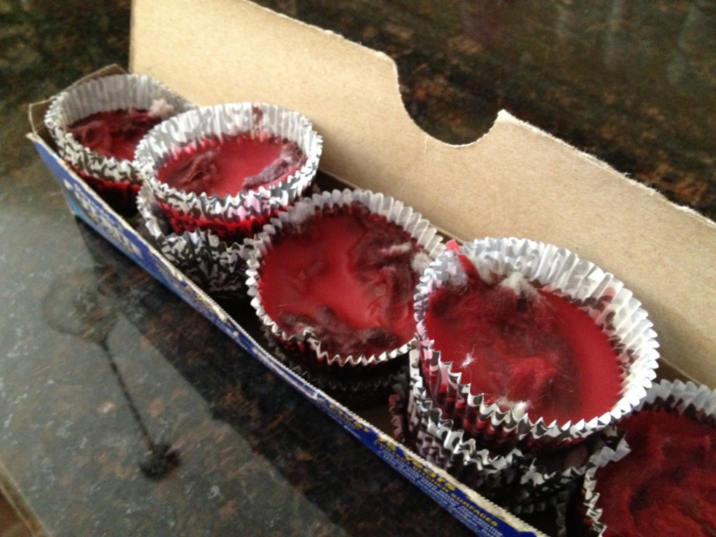 How To Make Fire Starter With Dryer Lint And Wax at Regina Daly blog