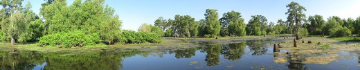 The Lower Mississippi/Atchafalaya Area has lots of swamps that need continual replenishment.