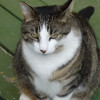 xls396 profile image