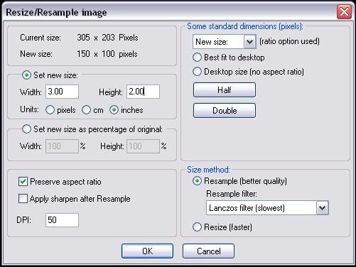 IrfanView resize dialog.  Select the board size in inches and choose 50 DPI.