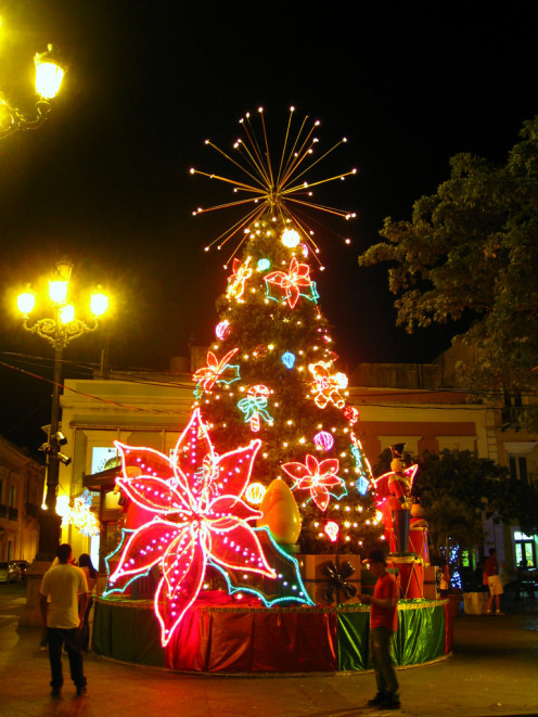 Christmas in the tropics is warm, lively, and fun!