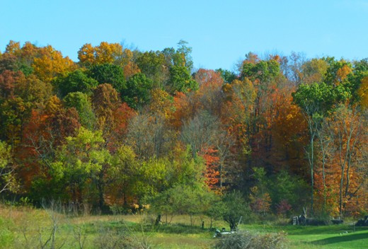 Fall comes to Southern Ohio