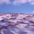 Winter grasses Winter grasses
