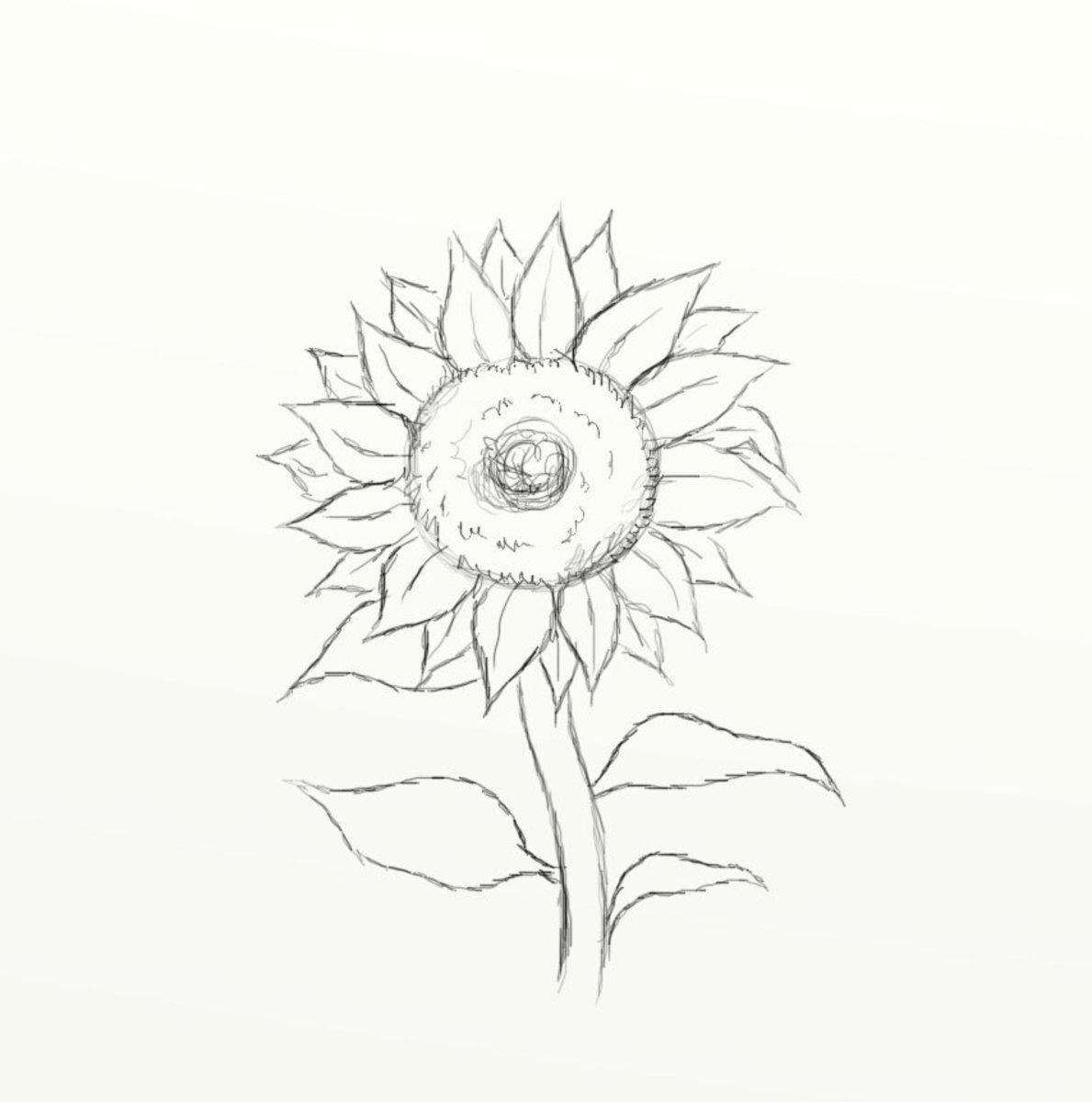 How To Draw A Sunflower Feltmagnet