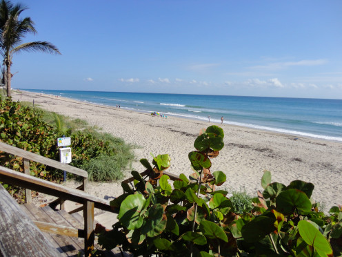 A view of the beach - Boynton Beach, Fl