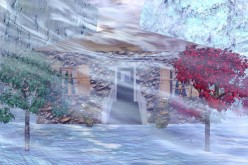 Eyes Of An Immortal (Chapter Eleven)