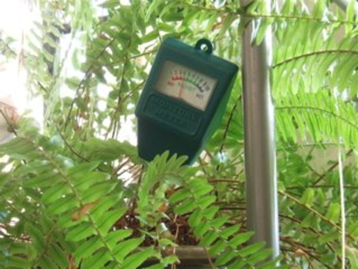 Plant Moisture Meter Chart