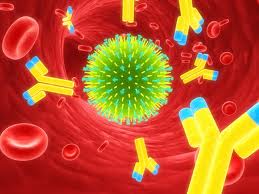 pic of flu virus