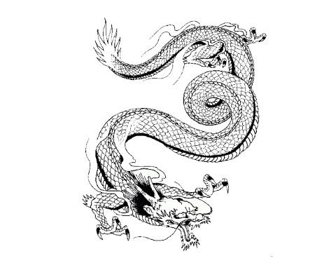 Tattoo Photos