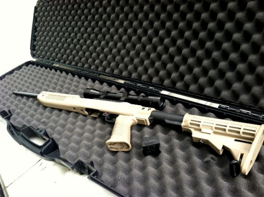 Ruger 10/22 Carbine