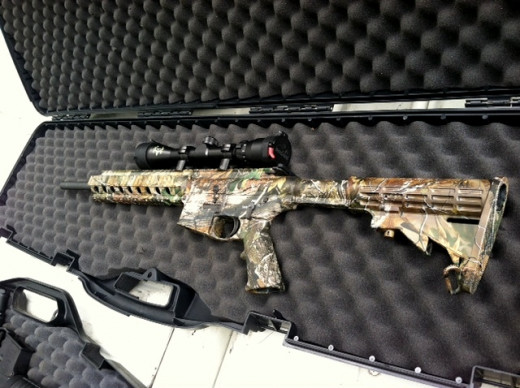 Smith & Wesson M&P 15/22