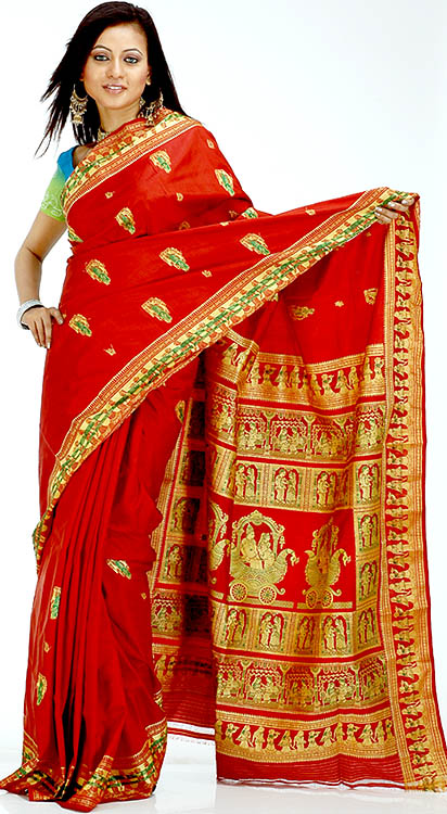 traditional sari