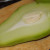 Chayote squash Chayote squash