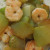 Chayote squash with shrimps Chayote squash with shrimps