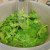 Washing spinach Washing spinach