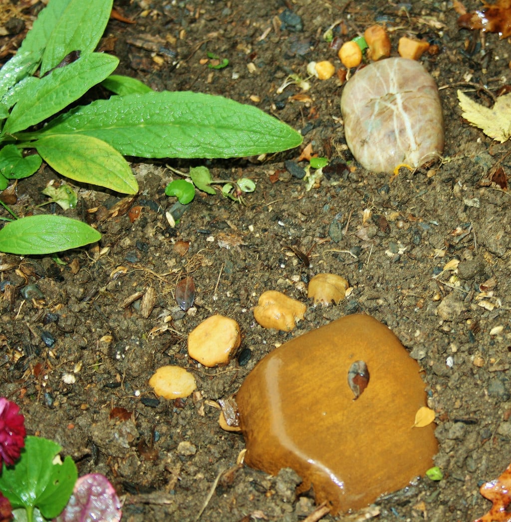 Fun with a Bag of Rocks