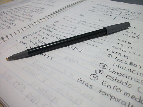 Intro to a descriptive essay