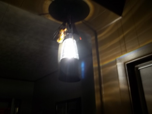 A lantern can provide enough light in the event of a power outage and it can be hung on a hook to provide light for an average sized room.