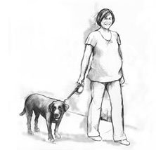A pregnant woman gaining exercise by walking her dog.
