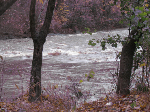 Rushing waters churned in nearby rivers which caused some flooding.