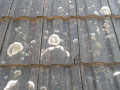 How to Replace a Broken Roof Tile