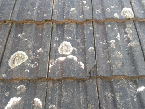Chipped concrete roof tile