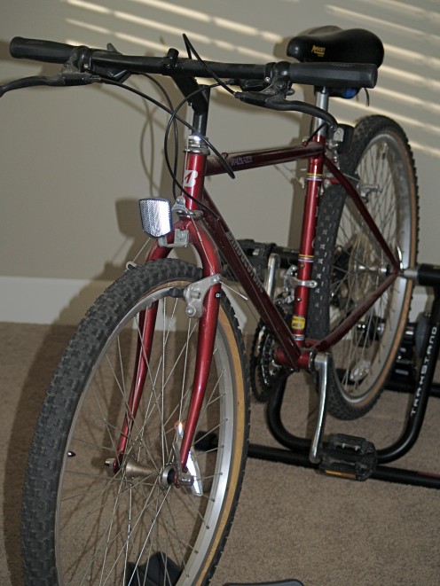 My Bridgestone mountain bike mounted on a Blackburn TrakStand Trainer